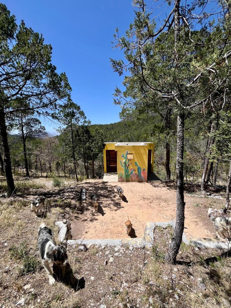 Camping En La Sierra De Arteaga Los Lirios Exterior foto